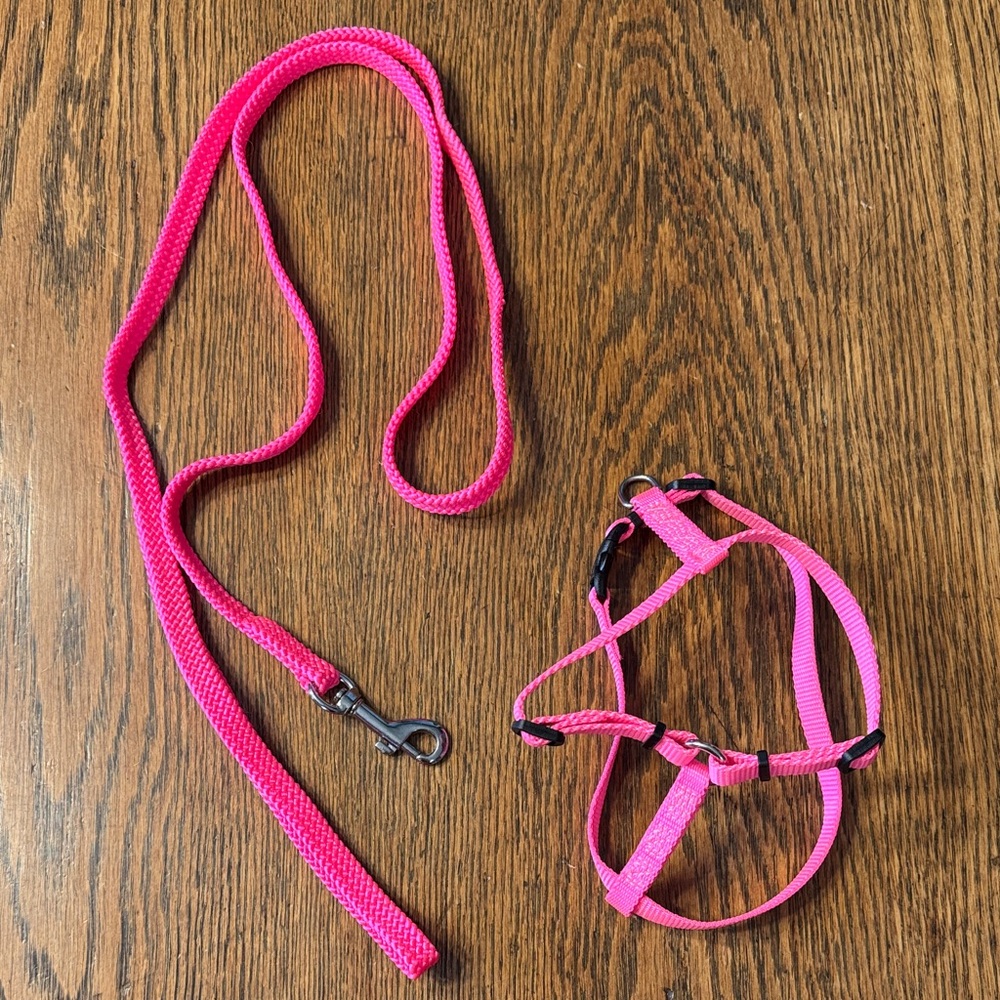 Pink Nylon Cat Harness & Leash